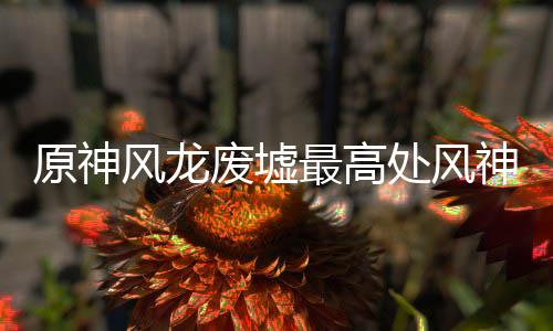 攻略处风最高原神风龙废墟神瞳收集