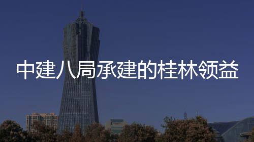 八局项目工程承建能制的桂中建造产主体正式林领益智业园一结构件厂基础配套房及封顶设施期
