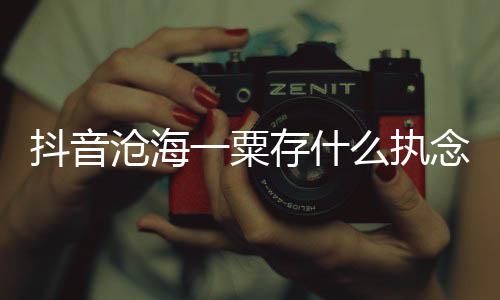 歌 歌曲歌沧海存什词介念是念抖音么执一粟什么绍