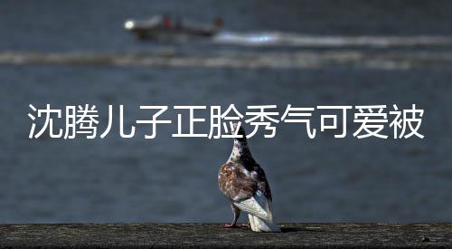 被赞秀气馨人同正脸子两儿子外温 父可爱框格沈腾