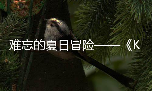 险 夏日冒日记日开难忘 年的夏忆岛于月将启
