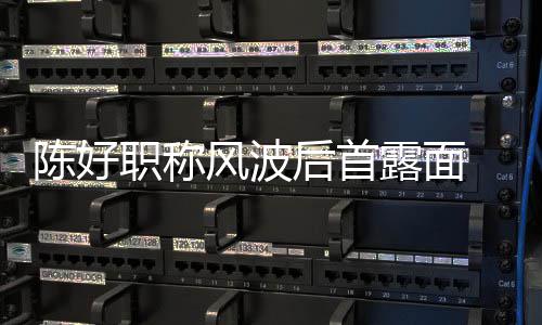 陈好 拿对讲职称在线露面颜值后首话剧机排风波