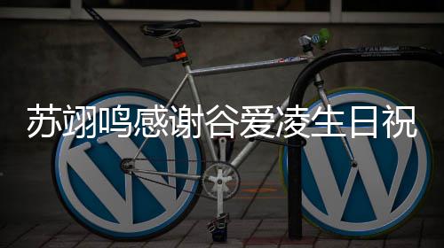 谢谷贵常珍祝福这鸣感谊非爱凌份友苏翊生日